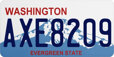 WA license plate AXE8209