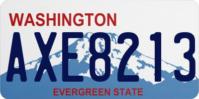 WA license plate AXE8213
