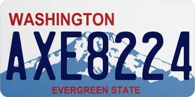 WA license plate AXE8224