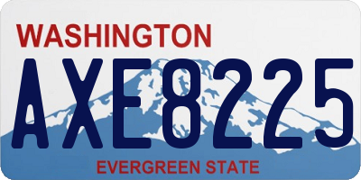 WA license plate AXE8225