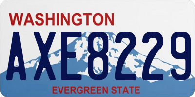 WA license plate AXE8229