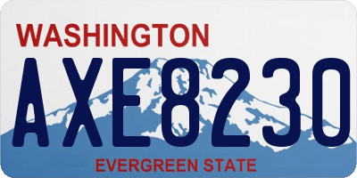 WA license plate AXE8230