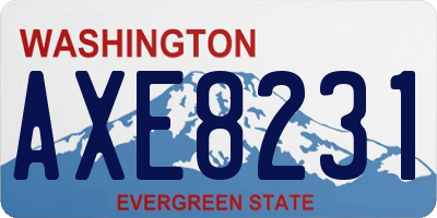 WA license plate AXE8231