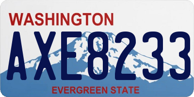 WA license plate AXE8233
