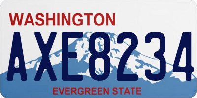 WA license plate AXE8234