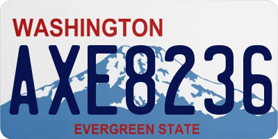 WA license plate AXE8236