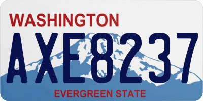 WA license plate AXE8237
