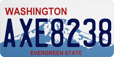 WA license plate AXE8238