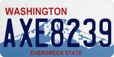 WA license plate AXE8239