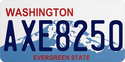 WA license plate AXE8250