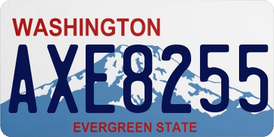 WA license plate AXE8255