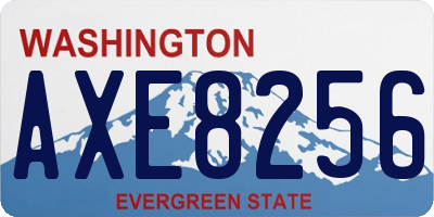 WA license plate AXE8256