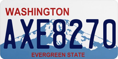 WA license plate AXE8270