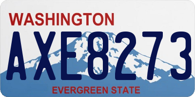 WA license plate AXE8273