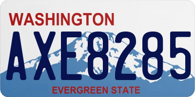 WA license plate AXE8285