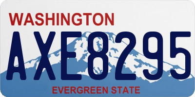 WA license plate AXE8295