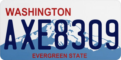 WA license plate AXE8309