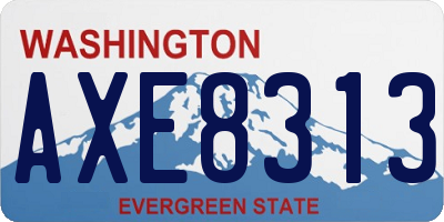 WA license plate AXE8313