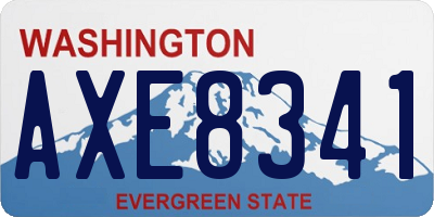 WA license plate AXE8341