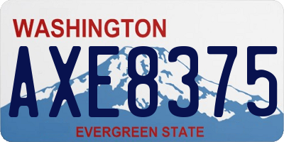 WA license plate AXE8375