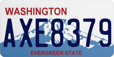WA license plate AXE8379