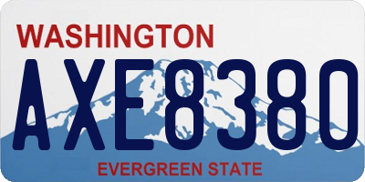 WA license plate AXE8380