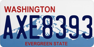 WA license plate AXE8393
