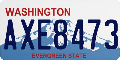 WA license plate AXE8473