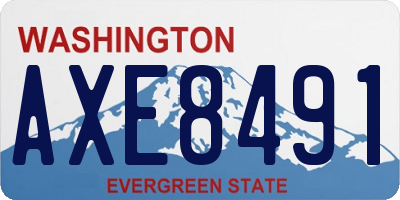 WA license plate AXE8491