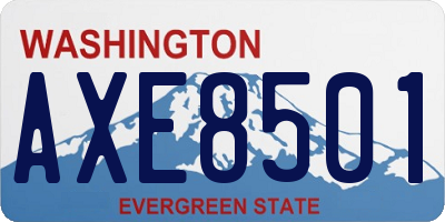 WA license plate AXE8501