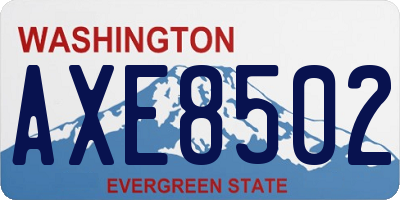 WA license plate AXE8502