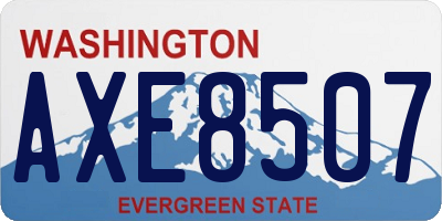 WA license plate AXE8507