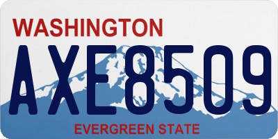 WA license plate AXE8509