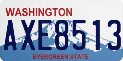 WA license plate AXE8513