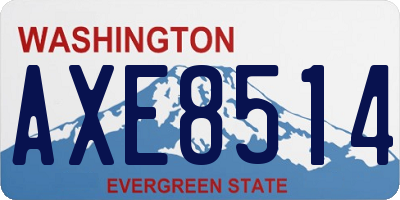 WA license plate AXE8514