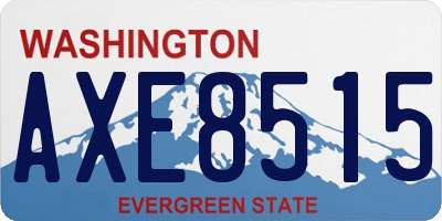 WA license plate AXE8515