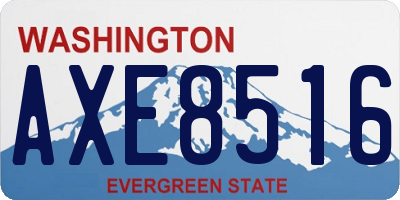 WA license plate AXE8516