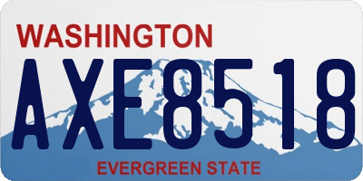 WA license plate AXE8518