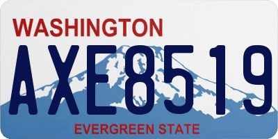 WA license plate AXE8519