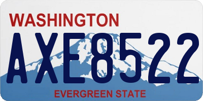 WA license plate AXE8522