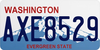WA license plate AXE8529