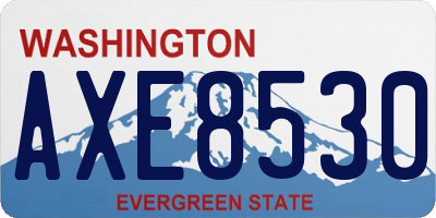 WA license plate AXE8530
