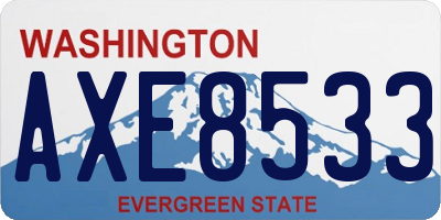 WA license plate AXE8533