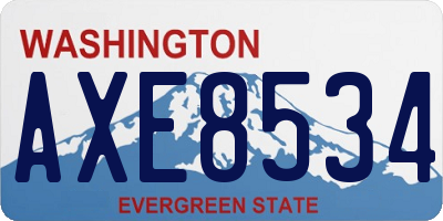 WA license plate AXE8534