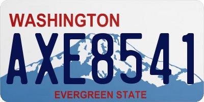 WA license plate AXE8541