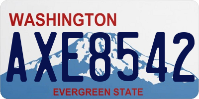 WA license plate AXE8542