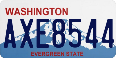 WA license plate AXE8544