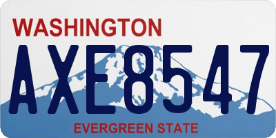 WA license plate AXE8547