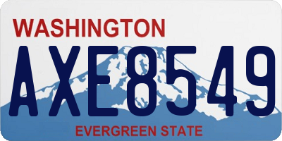 WA license plate AXE8549