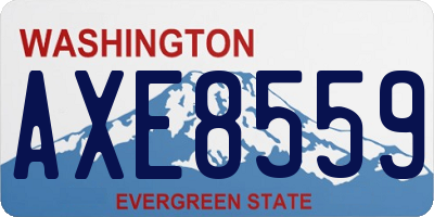 WA license plate AXE8559